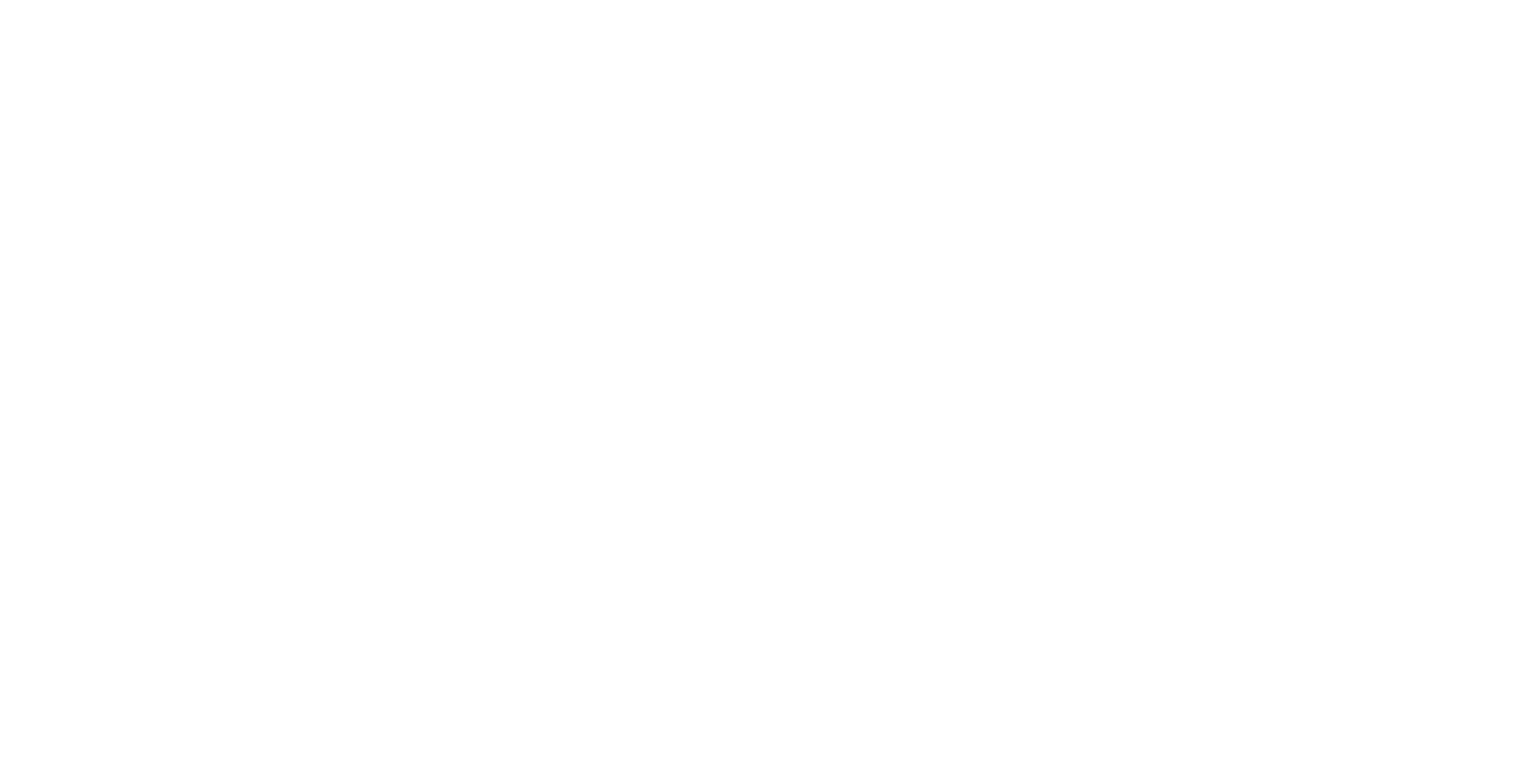 BIC x Soprano 2020