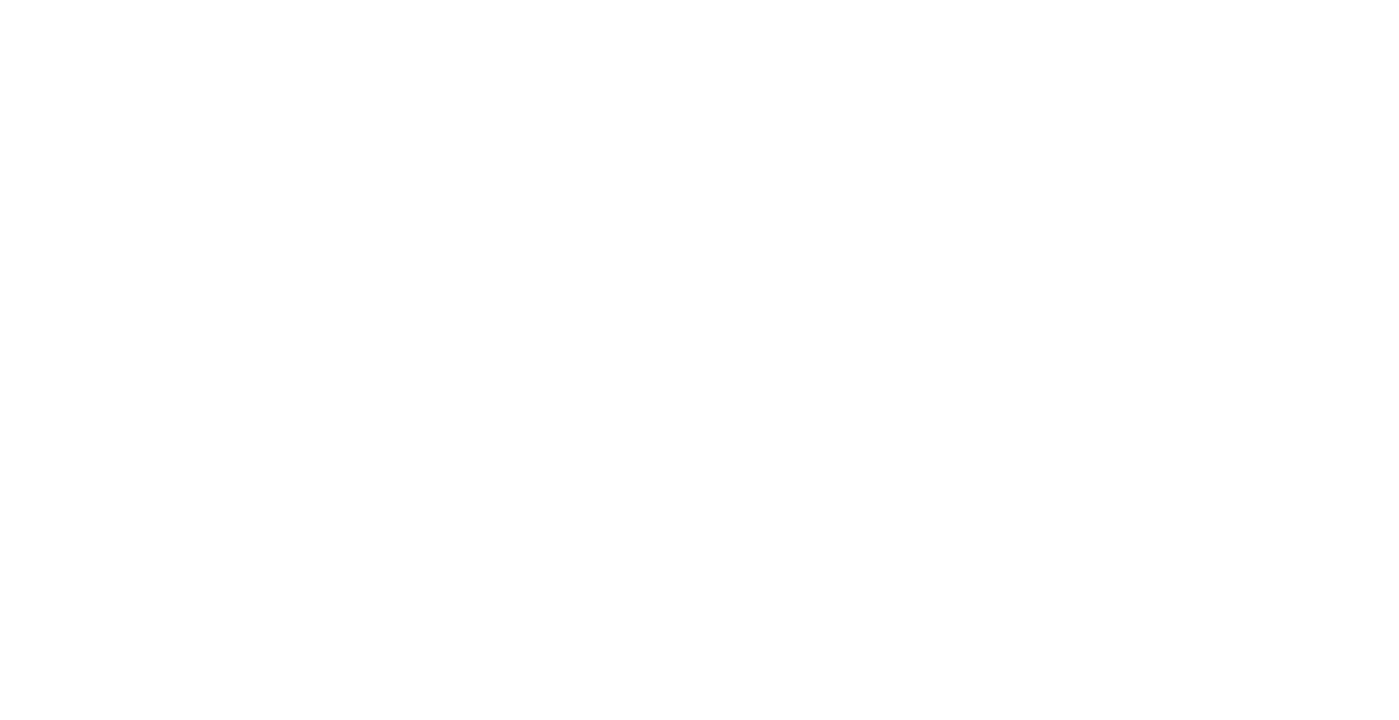 Bic Intensity