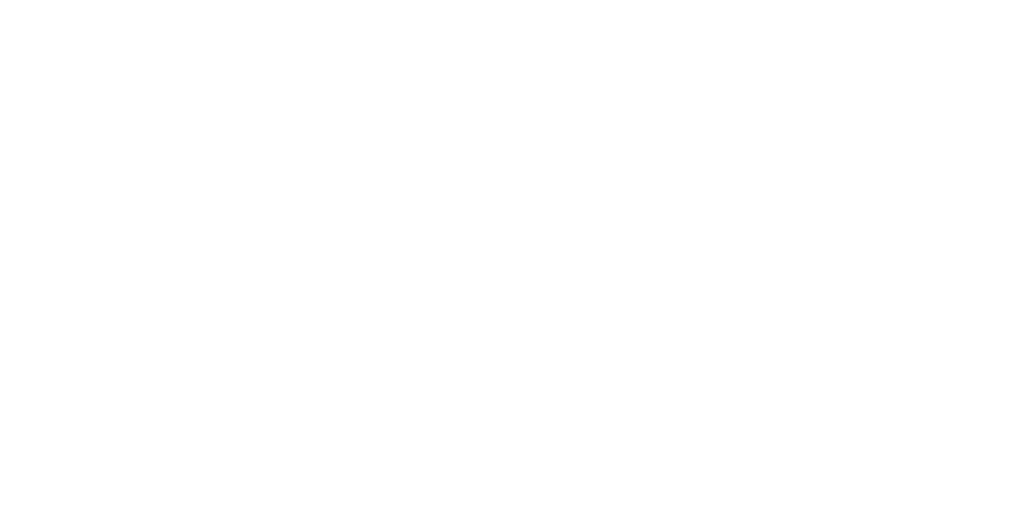 Bic // LIGHT